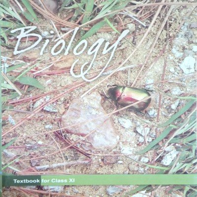 Ncert Biology 11th In English